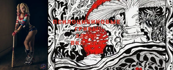 бутират Пересвет