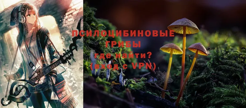 даркнет сайт  Тулун  Галлюциногенные грибы Cubensis 