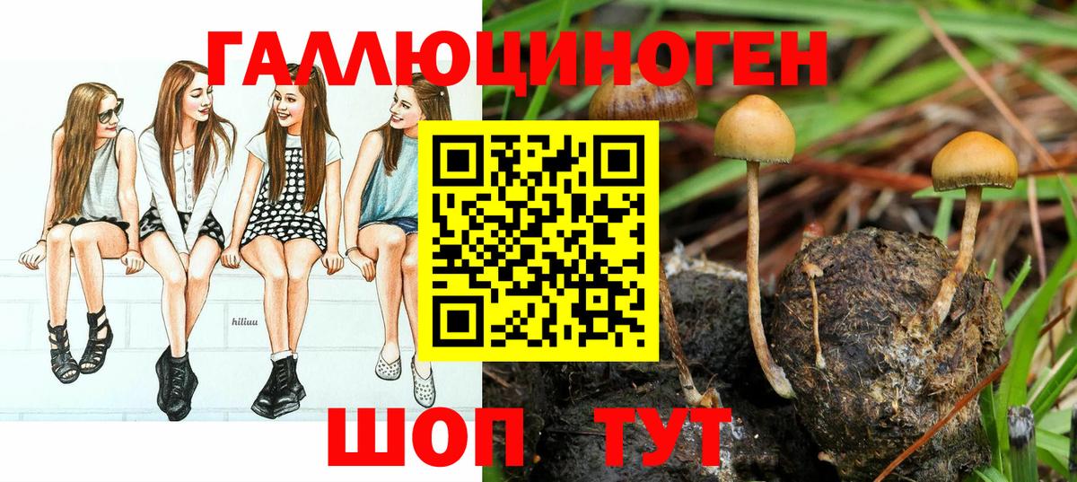 Псилоцибиновые грибы Magic Shrooms Тулун