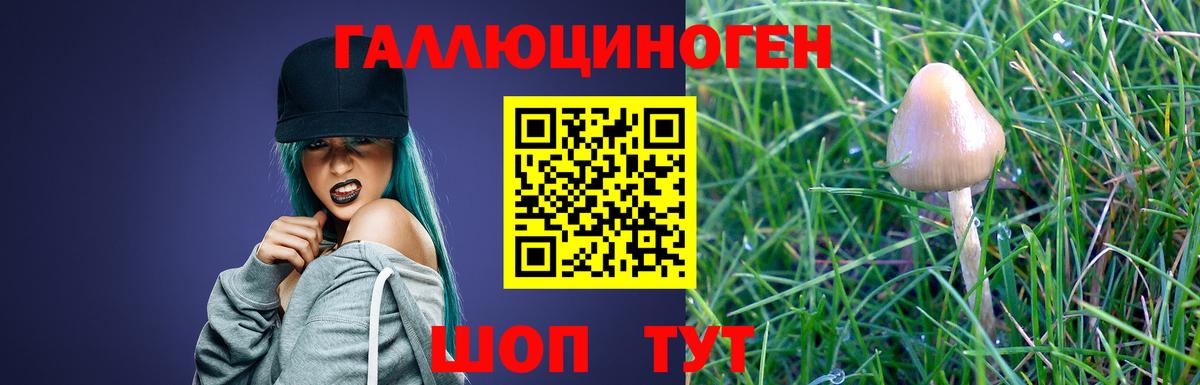 где продают наркотики  Галлюциногенные грибы MAGIC MUSHROOMS  Вход с VPN  Псилоцибиновые грибы Psilocybe  Тулун 